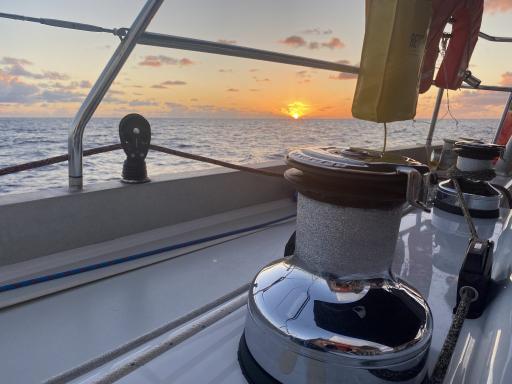 lewmar ocean winch