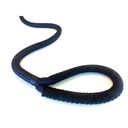 PremiumRopes Dockline - 24mm rope