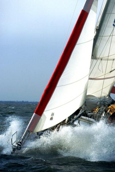 Oleu Gale Sail - blanc