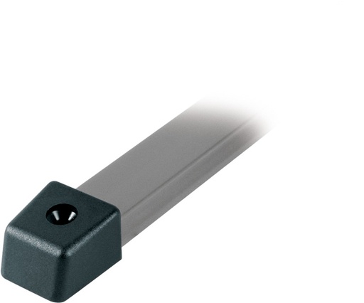 [R-RC12280] Ronstan Série 22 Embout de rail, plastique, 30mm x 27mm